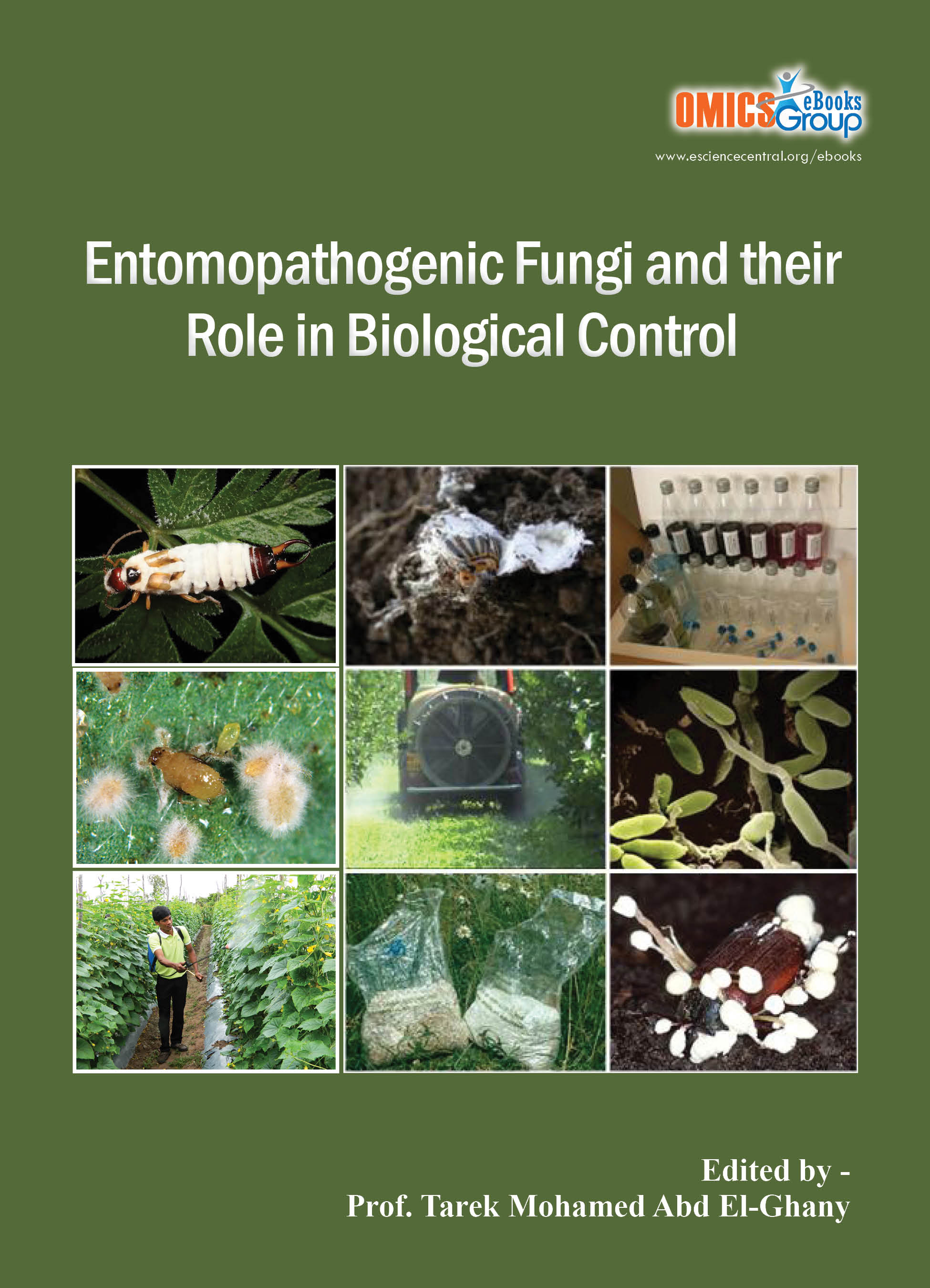 Entomopathogenic Fungi And Their Role In Biological Control