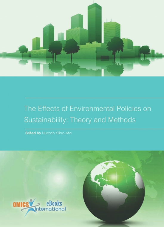The Effects of Environmental Policies on Sustainability: Theory and Methods