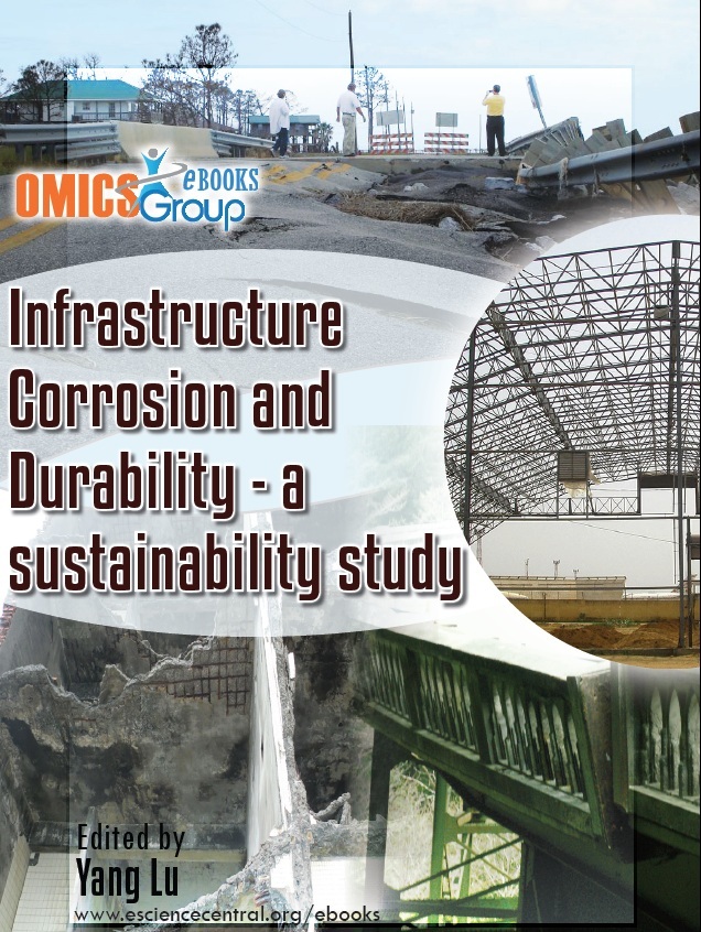 Infrastructure Corrosion and Durability - A sustainability study