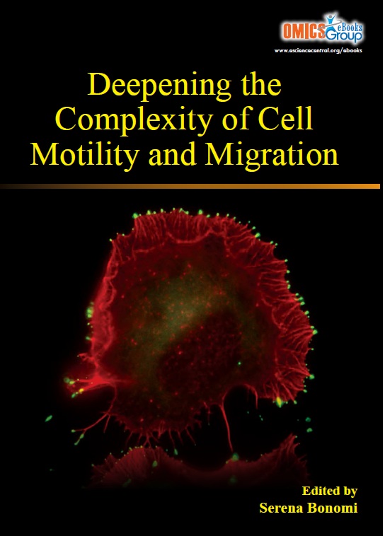 Deepening the Complexity of Cell Motility and Migration